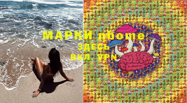 мяу мяу мука Абаза